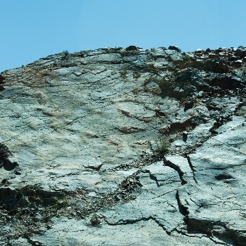 General Gallery Image