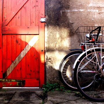 General Gallery Image