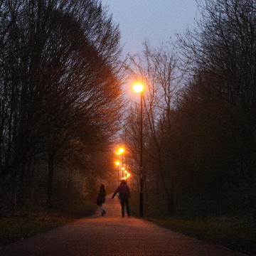 General Gallery Image