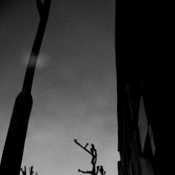 General Gallery Image