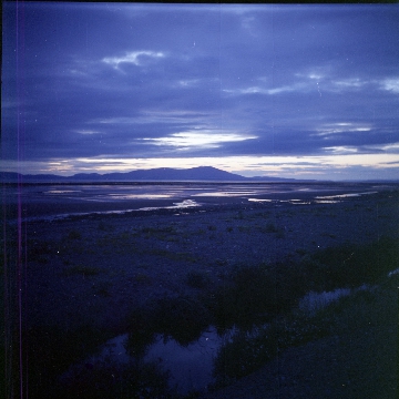 General Gallery Image