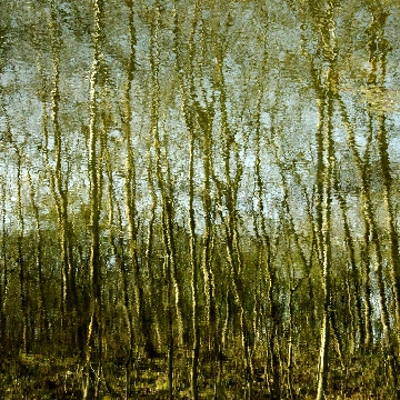 Impressionist Gallery Image