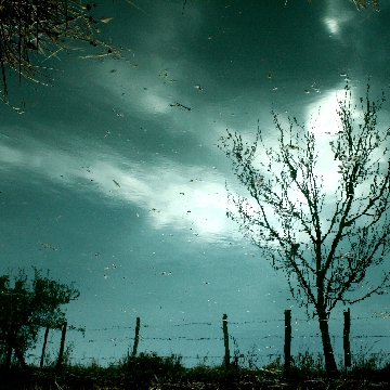 Impressionist Gallery Image