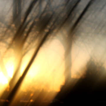 Impressionist Gallery Image