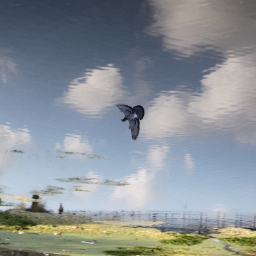 Impressionist Gallery Image