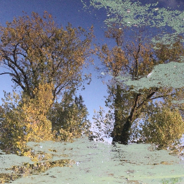 Impressionist Gallery Image