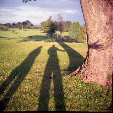 Indiscernibles Gallery Image