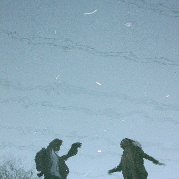 Indiscernibles Gallery Image