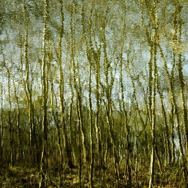 Photograph in the style of an impressionist painting